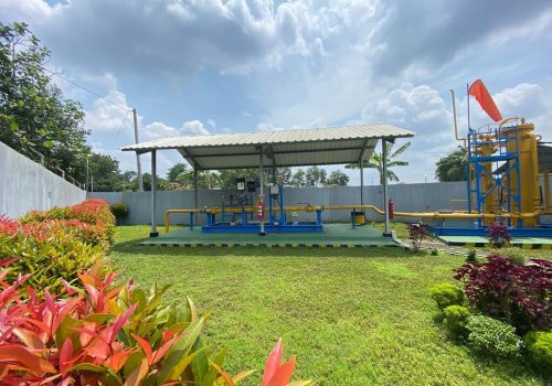 WhatsApp Image 2022-03-25 at 10.56.03 AM.jpeg